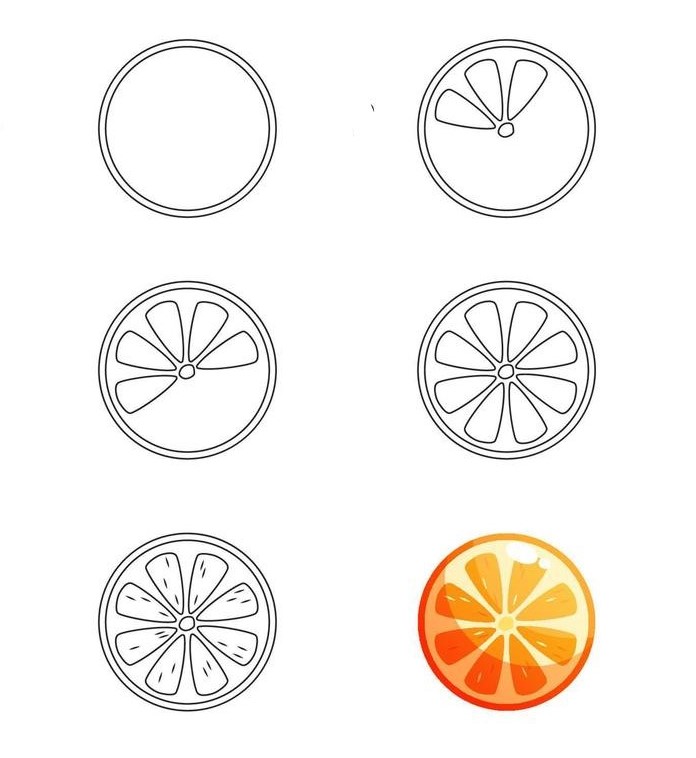 Portakal ikiye kesilmiş 4 çizimi