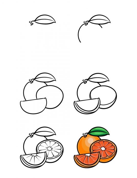 Portakallar birçok şekilde kesilir çizimi