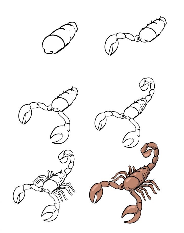 Skorpioni fikri (1) çizimi