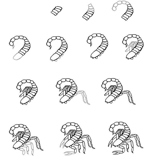 Skorpioni fikri (12) çizimi