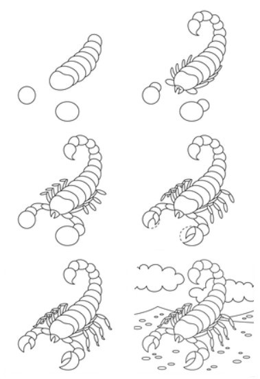 Skorpioni fikri (13) çizimi