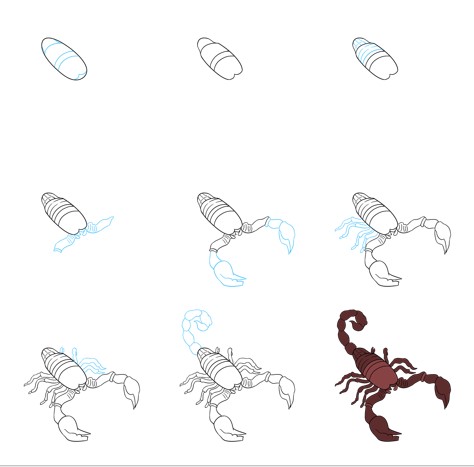Skorpioni fikri (14) çizimi
