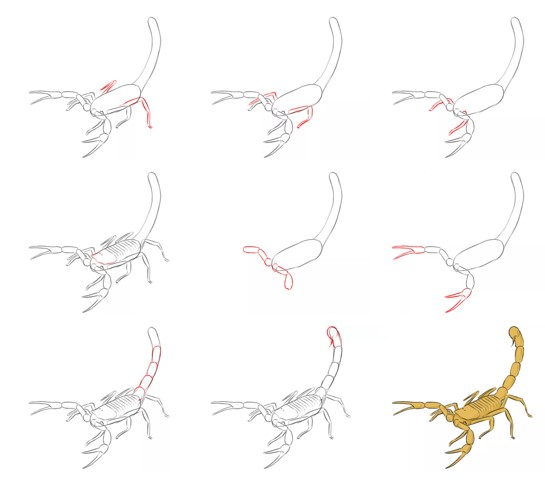 Skorpioni fikri (17) çizimi