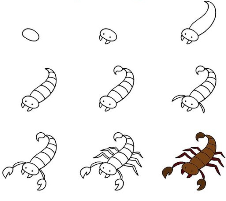 Skorpioni fikri (2) çizimi