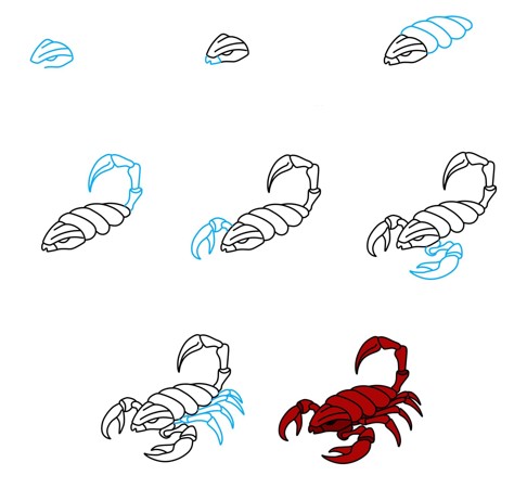 Skorpioni fikri (5) çizimi