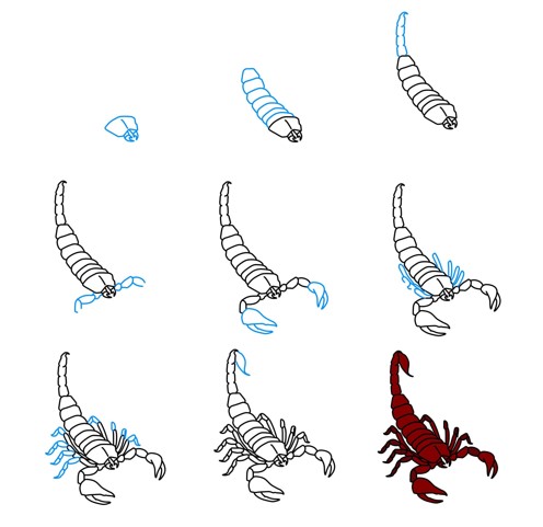 Skorpioni fikri (7) çizimi