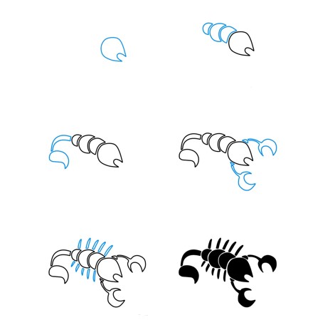 Skorpioni fikri (8) çizimi