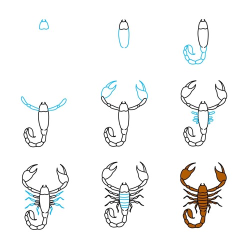 Skorpioni fikri (9) çizimi