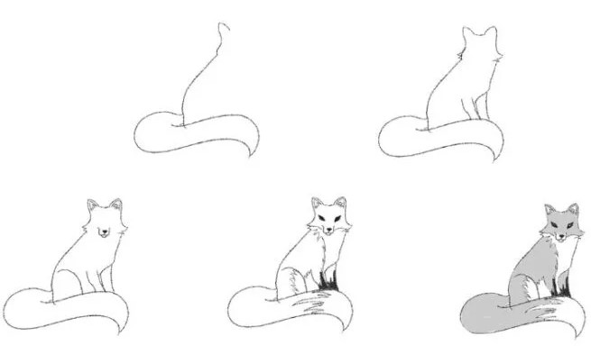 Tilki fikri (11) çizimi