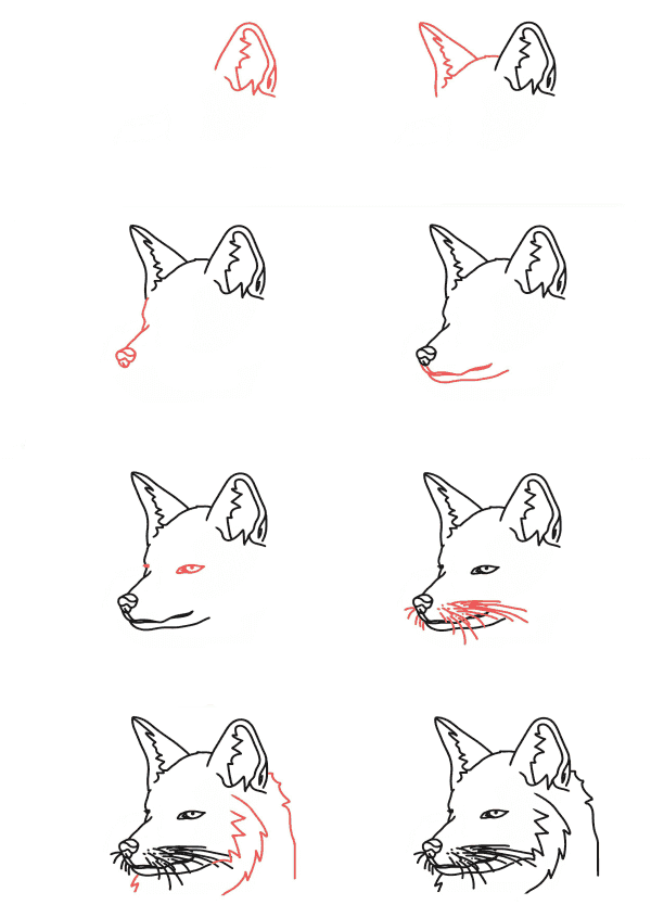 Tilki kafası (1) çizimi