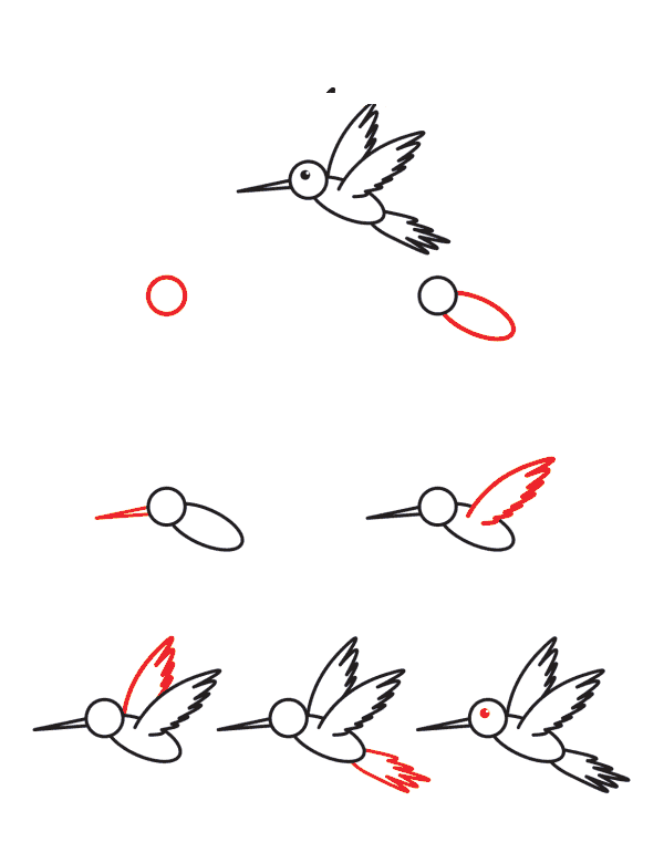 Çocuklar için sinek kuşu çizimi