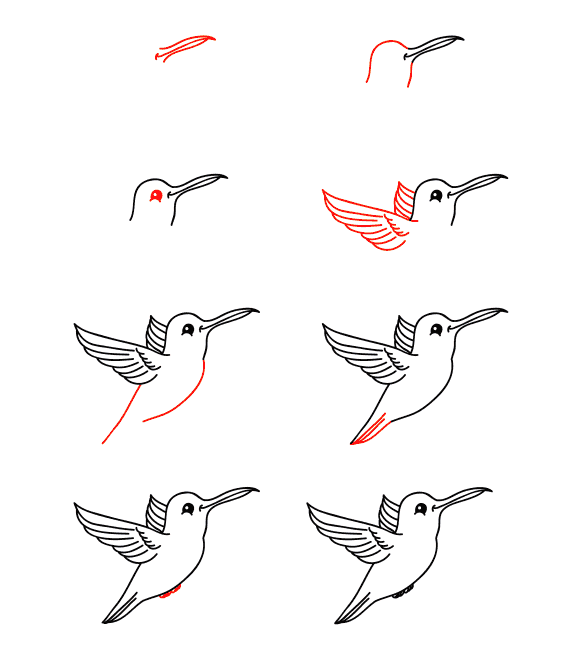Karikatür sinek kuşu çizimi