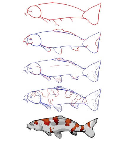 Koi balığı fikri (22) çizimi