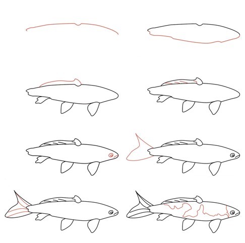 Koi balığı fikri (25) çizimi