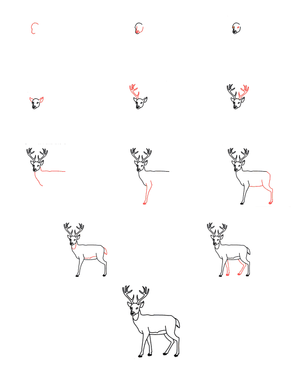 Korkmuş geyik (1) çizimi