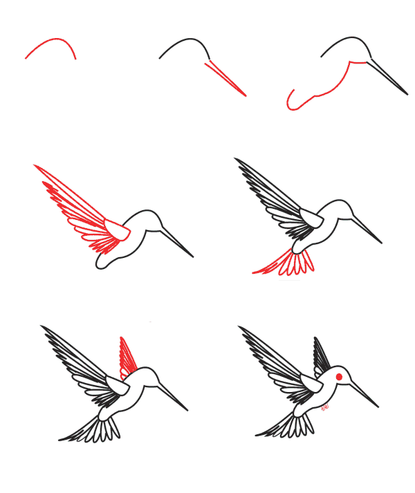 Sinek kuşu çizimi