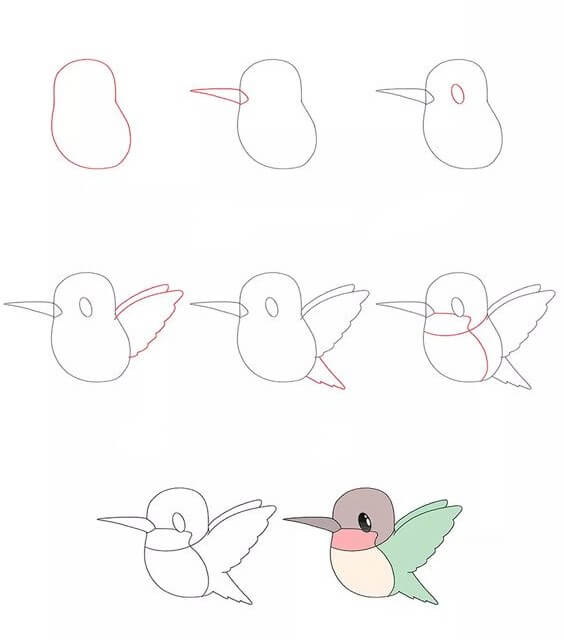 Sinek kuşu fikri (1) çizimi