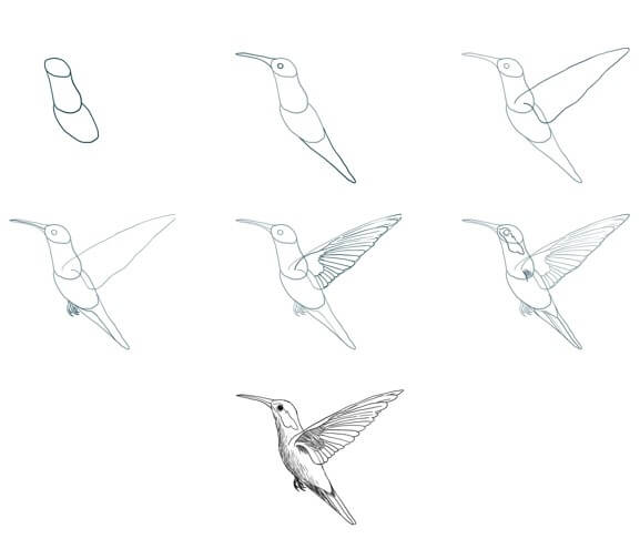 Sinek kuşu fikri (10) çizimi