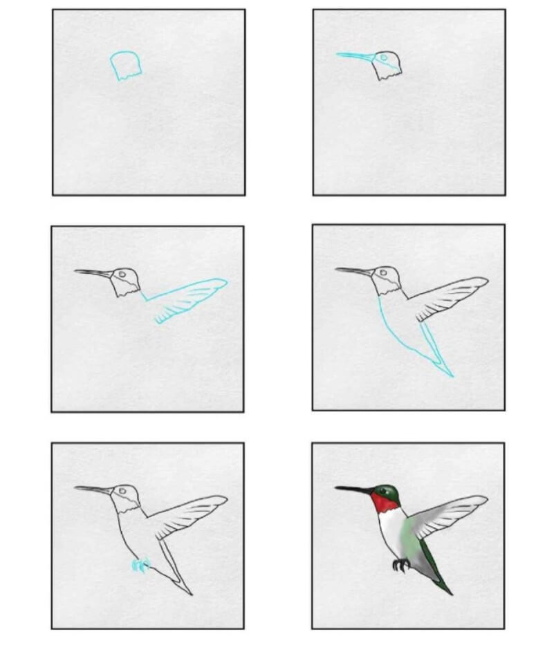 Sinek kuşu fikri (11) çizimi