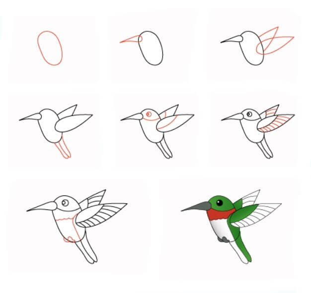 Sinek kuşu fikri (12) çizimi