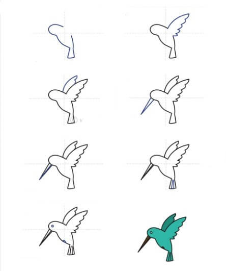 Sinek kuşu fikri (16) çizimi