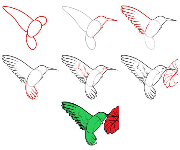 Sinek kuşu fikri (17) çizimi