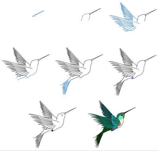 Sinek kuşu fikri (18) çizimi