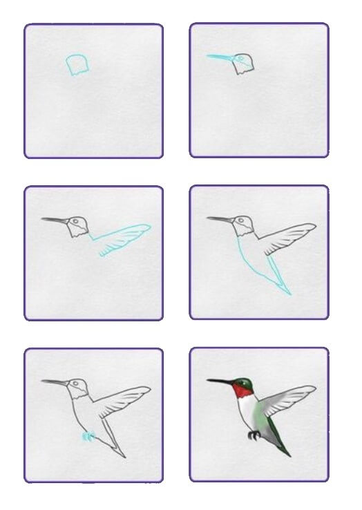 Sinek kuşu fikri (2) çizimi