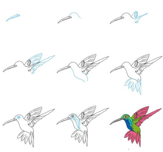 Sinek kuşu çizimi