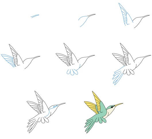 Sinek kuşu fikri (21) çizimi