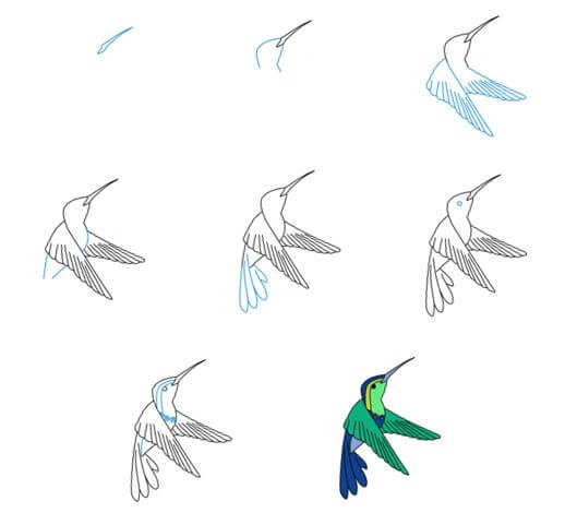 Sinek kuşu fikri (22) çizimi