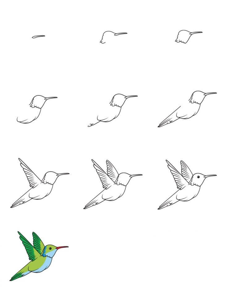 Sinek kuşu fikri (25) çizimi