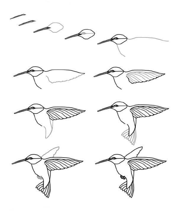 Sinek kuşu fikri (26) çizimi