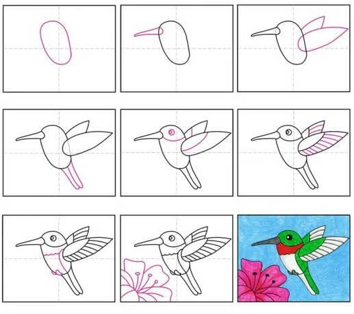 Sinek kuşu fikri (3) çizimi