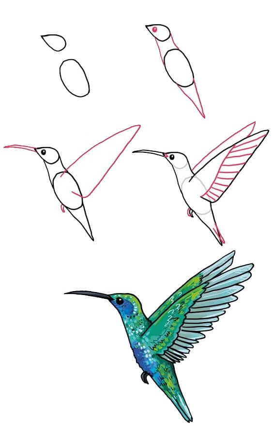 Sinek kuşu fikri (4) çizimi