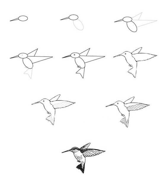Sinek kuşu fikri (5) çizimi