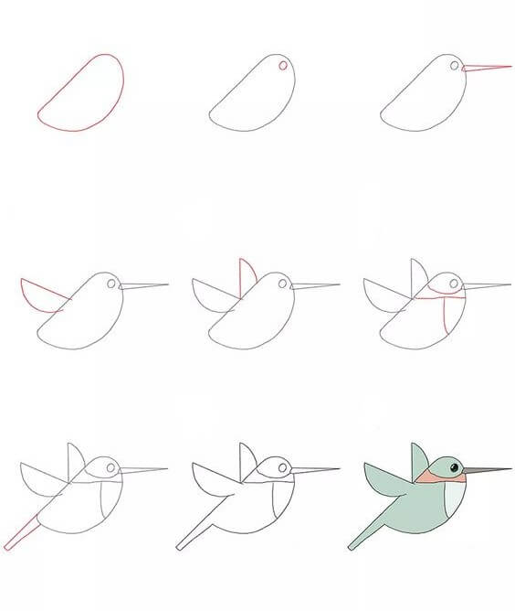 Sinek kuşu fikri (6) çizimi
