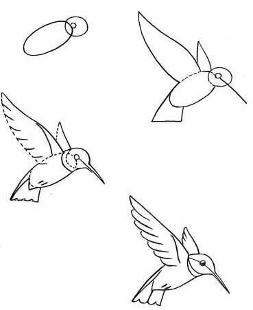 Sinek kuşu fikri (7) çizimi