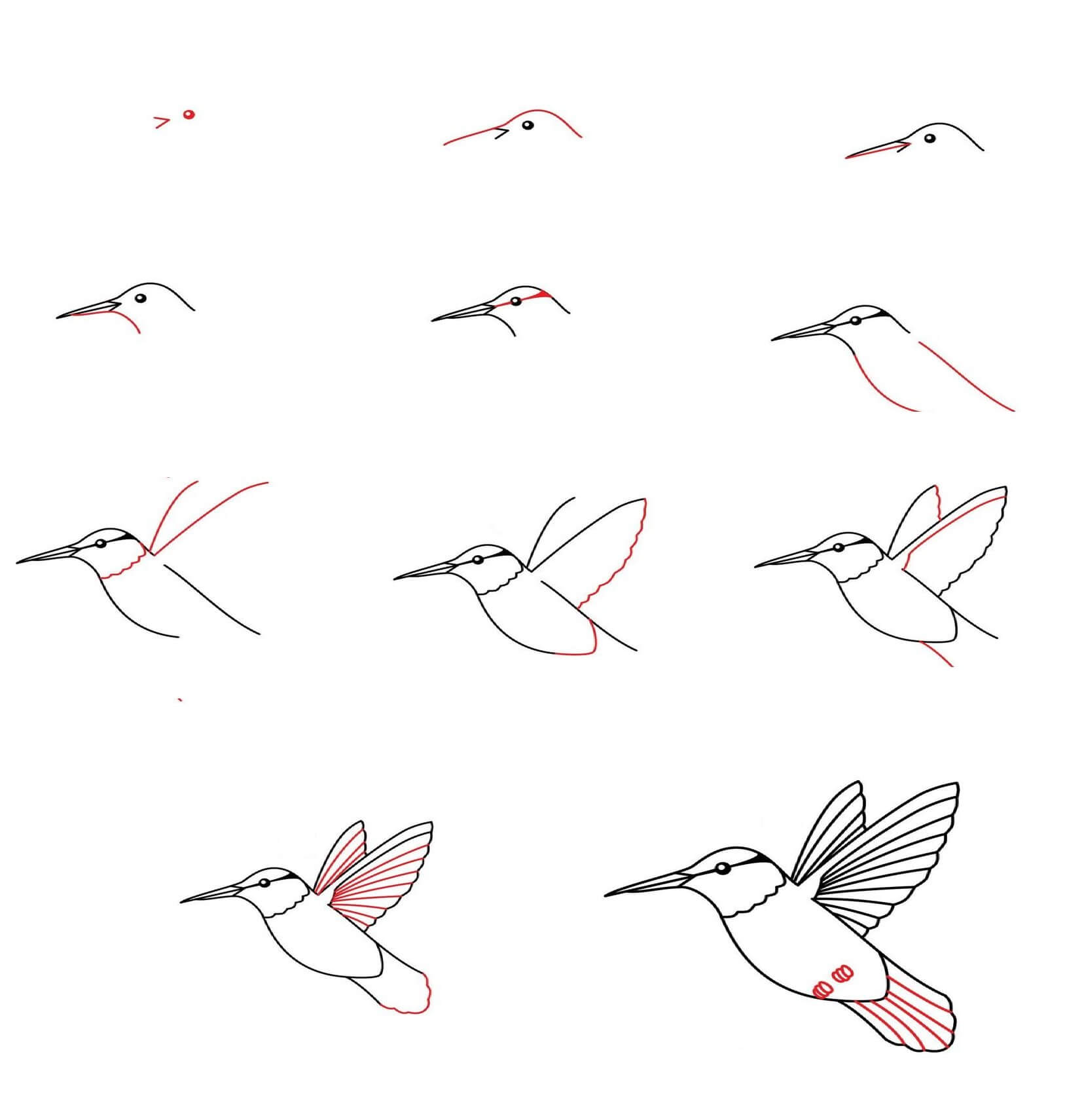 Sinek kuşu fikri (8) çizimi
