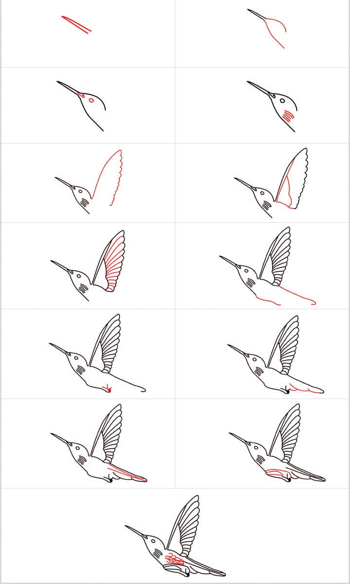 Sinek kuşu fikri (9) çizimi